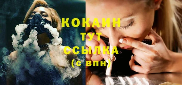 Альфа ПВП Бородино