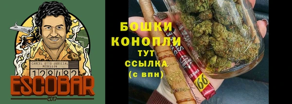 Альфа ПВП Бородино