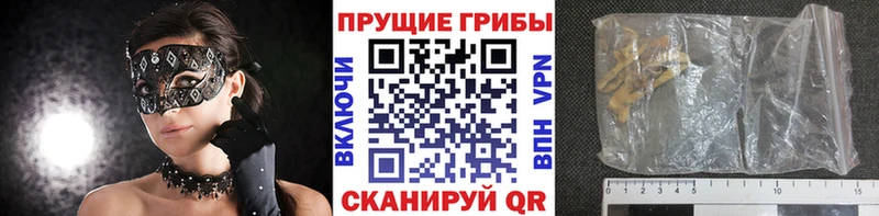 Галлюциногенные грибы GOLDEN TEACHER  купить  сайты  Валуйки 